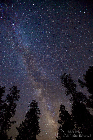 Night Sky, Jemez Mountains, NM
