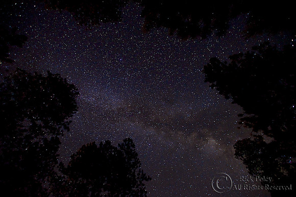 Night Sky, Jemez Mountains, NM