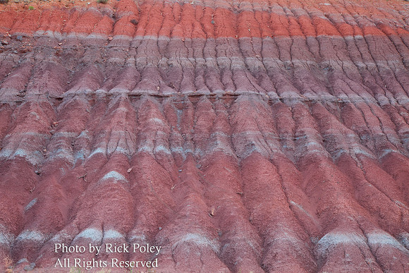 Erosion and mineral patterns, Abiquiu, NM