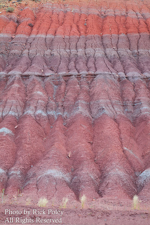 Erosion and mineral patterns, Abiquiu, NM