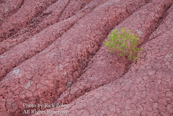 Erosion Patterns