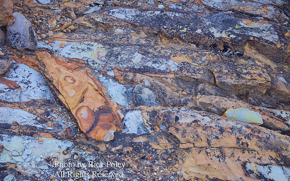 Rock Detail, Abiquiu, NM