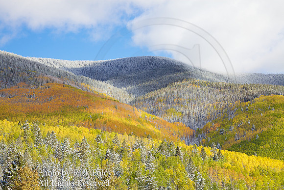 Autumn Snowfall, Santa Fe National Forest