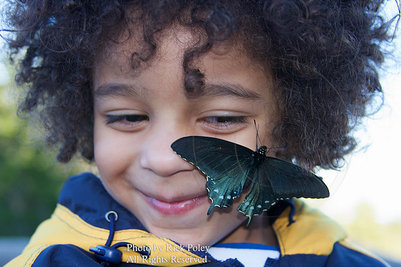 Boy & Butterfly