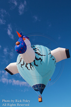 2011 Albuquerque International Balloon Fiesta, NM
