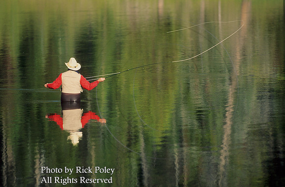 Angler Flyfishing for Cutthroat Trout Along the Yellowstone River