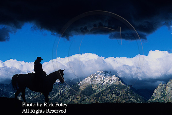 Horseback Riding in Grand Teton National Park, WY