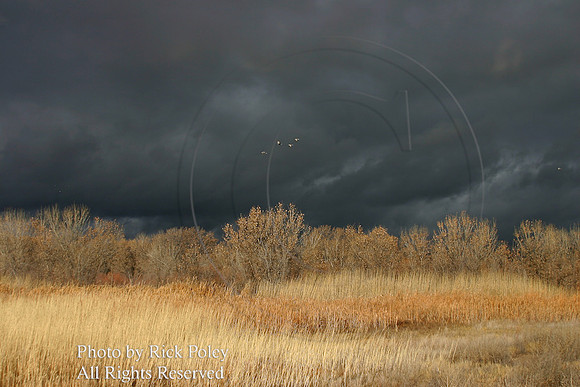 Approaching Storm Clouds