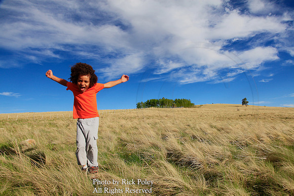 Boy Jumping for Joy