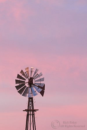 Windmill at Dawn, FL