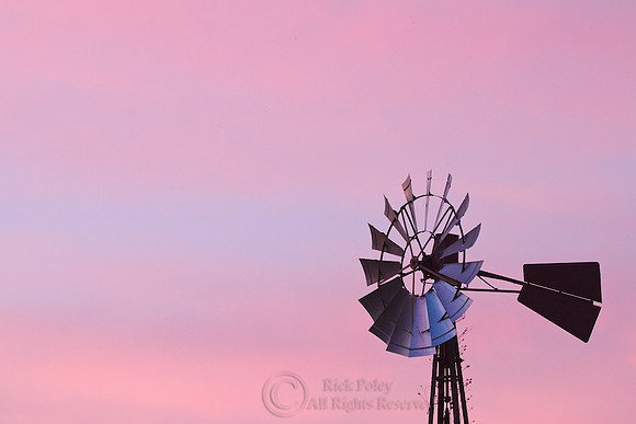 Windmill at Dawn, FL