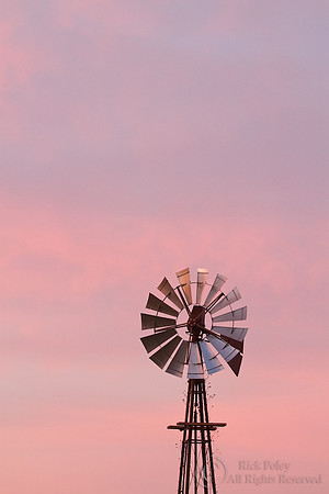 Windmill at Dawn, FL