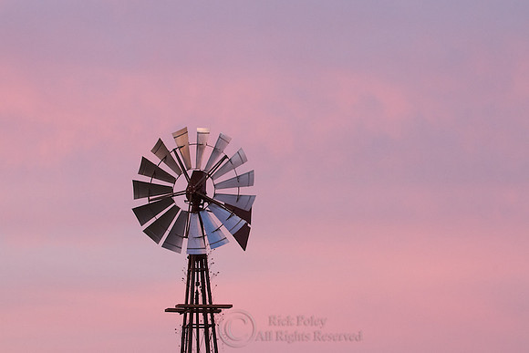 Windmill at Dawn, FL