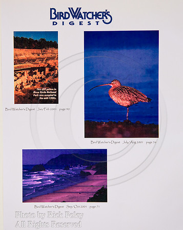 Bird Watcher'sDigest