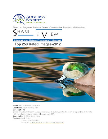 Share the View Photo Contest 2012-Top 250 Images