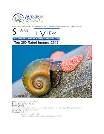 Share the View Photo Contest 2012-Top 250 Images