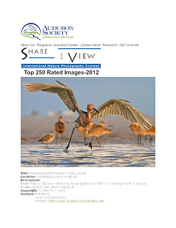 Share the View Photo Contest 2012-Top 250 Images