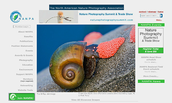 Top 100 Images in NANPA 2012 Showcase Competition