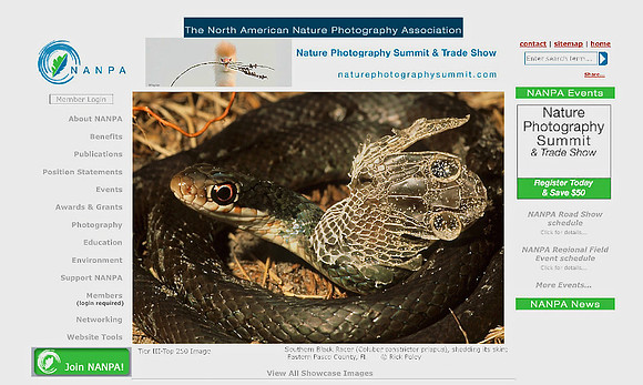Top 250 Images in NANPA 2012 Showcase Competition