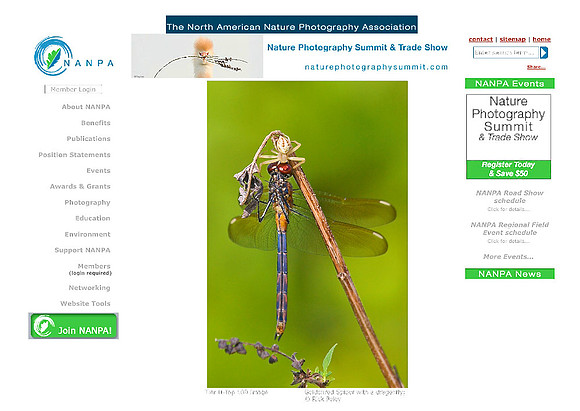 Top 100 Images in NANPA 2012 Showcase Competition