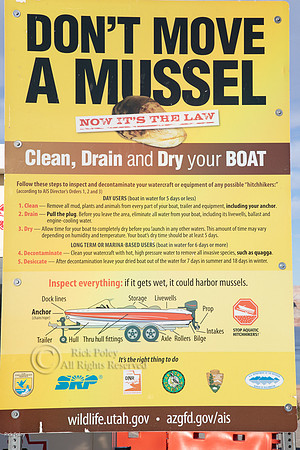 Mussel Infestation Warning Sign