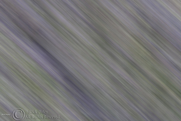 Motion Blur