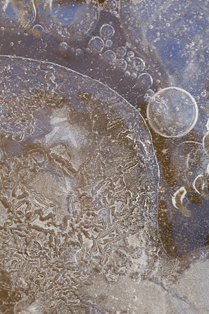 Ice Crystal Detail