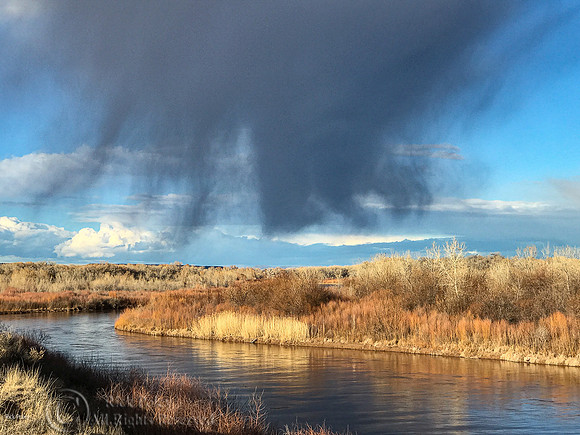 Walking Rain Descends on Rio Grande River