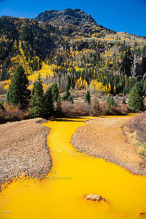 Yellow-Orange Stained Creek,Red Mountain Mining District, Uncompahgre NF, CO