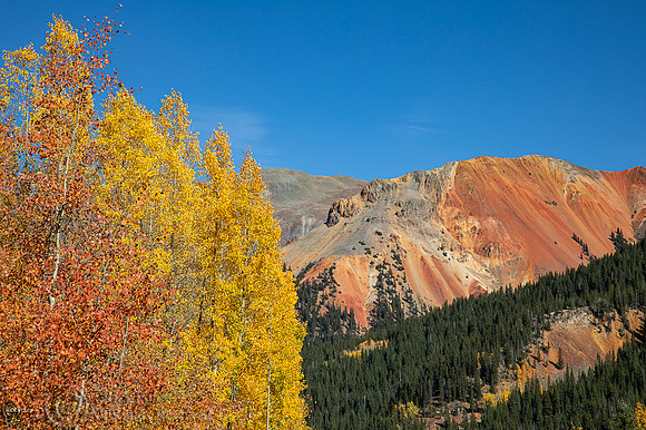 Autumn Along Red Mountains, San Juan Mountains, Uncompahgre NF