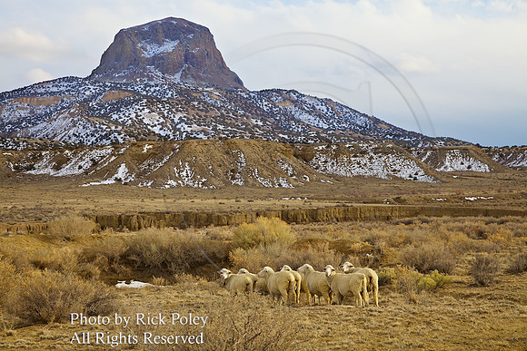 Cabezon Peak