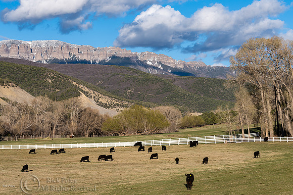 Ranch Country Cimarron Ridge, Ridgway, CO