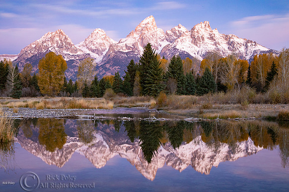 First Sow & Autumn Reflection Grand Teton NP