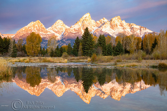 Grand Teton Range Reflection in Beaver Pond,  Grand Teton NP, WY