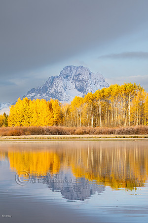Autumn Snowfall Mt. Moran, Oxbow Bend, Snake River, Grand Teton,