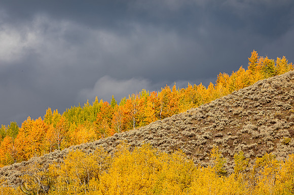 Autumn Hiside, Grand Teton NP, WY