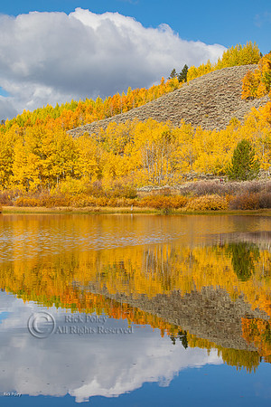 Autumn Hillside Along Snake River, Grand Teton NP, WY