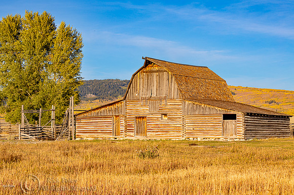 Gambrel Barn, John Moulton Homestead, Mormon Row, Grand Teton NP