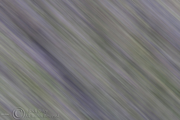 Abstract In-Camera Motion-Blur