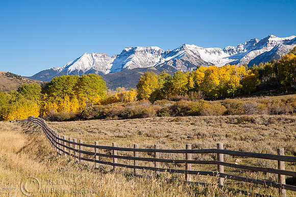 Fenceline & Aspens in Autumn & Early Mountain Snowfall, Crestted