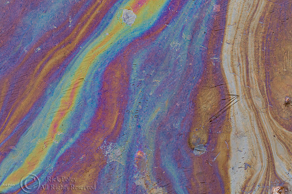 Oily Sheens Created By Decomposing Bacteria Cells