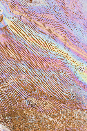 Oily Sheens Created By Decomposing Bacteria Cells