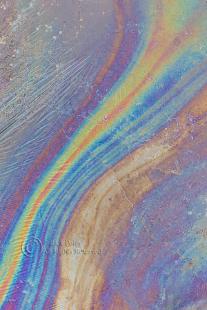 Oily Sheens Created By Decomposing Bacteria Cells