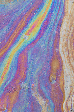Oily Sheens Created By Decomposing Bacteria Cells