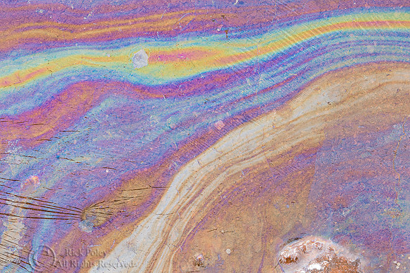 Oily Sheens Created By Decomposing Bacteria Cells