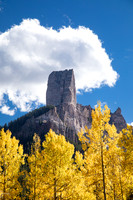 Yellow Quaking Aspen (Populus tremuloides) Foliage &  Chimney Pe