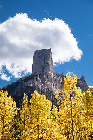 Yellow Quaking Aspen (Populus tremuloides) Foliage &  Chimney Pe
