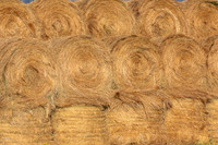 Stacked Hay Bales, CO