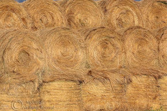 Stacked Hay Bales, CO