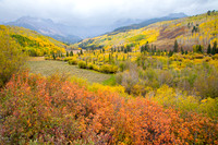 Autumn Scene Along County Road 7,  Ouray County, CO
